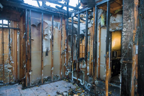 Professional Smoke Damage Removal technician working in Chesterfield, NJ